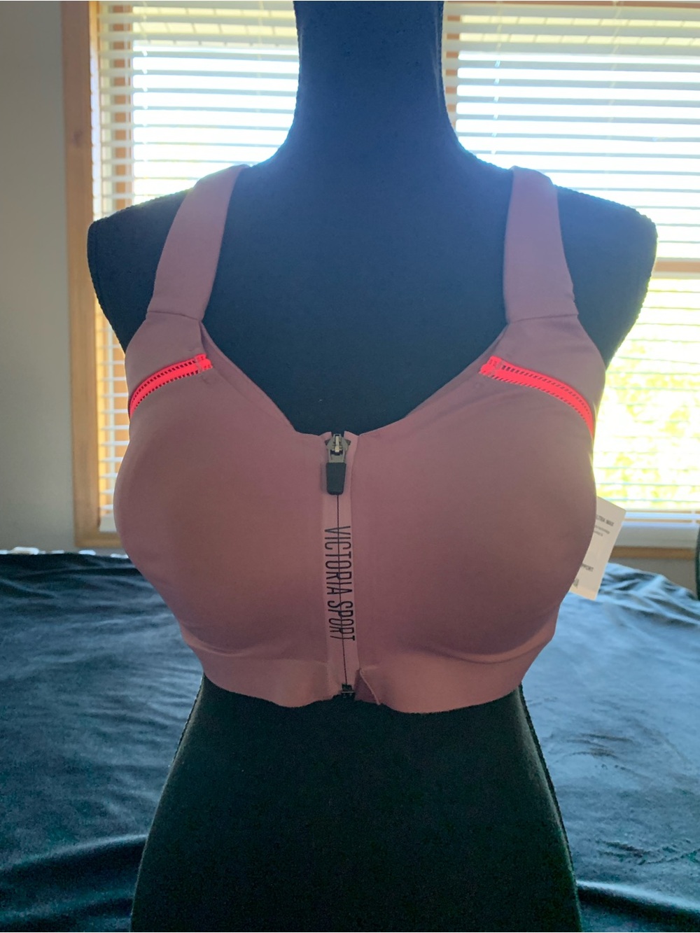 Victory Sport  Mauve Front-Zip Sports Bra with Neon Pink Trim
36 DDD

Mix 1 0426